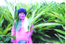 沖縄の安心な生産農家で作られた月桃