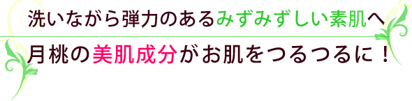 洗いながら弾力のあるみずみずしい素肌へ 月桃の美肌成分がお肌をつるつるに!
